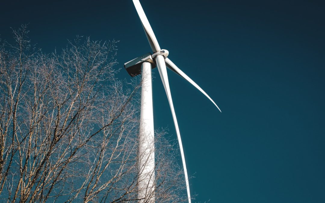 Journée mondiale de l’environnement 2024 : Nos terres, notre avenir, notre responsabilité